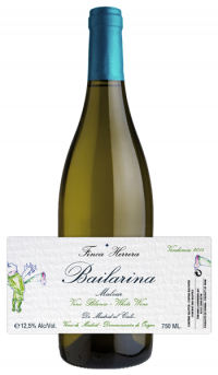 bailarina-slider-new