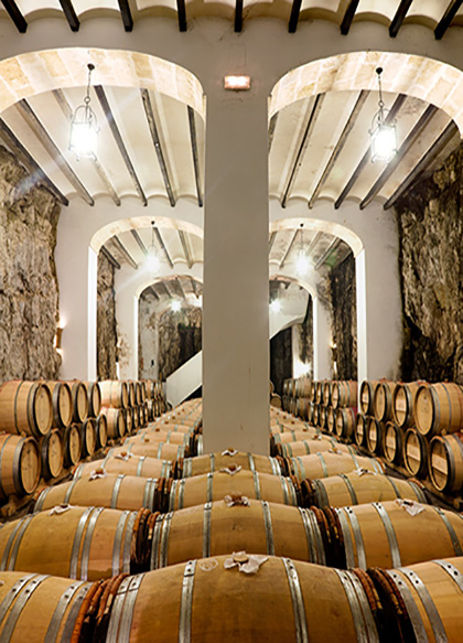 bodega_vertical_2