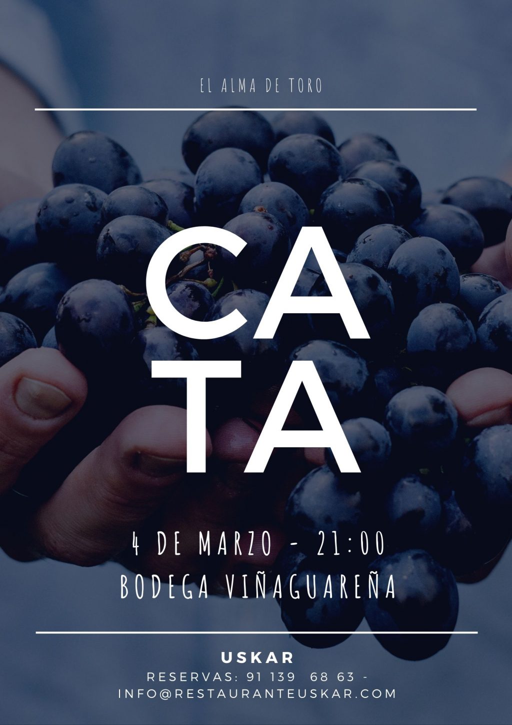 CATA TORO